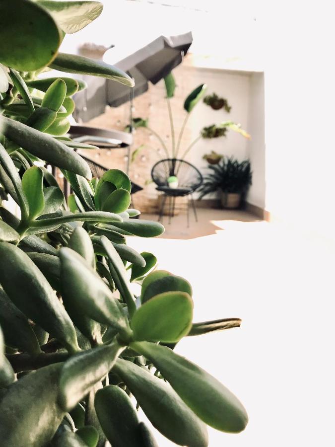 Apartamentos Elite - Art Collection - Frida เมรีดา ภายนอก รูปภาพ